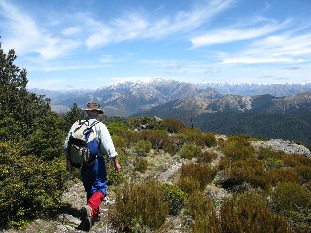 Oxford Queenette Backpackers エクステリア 写真